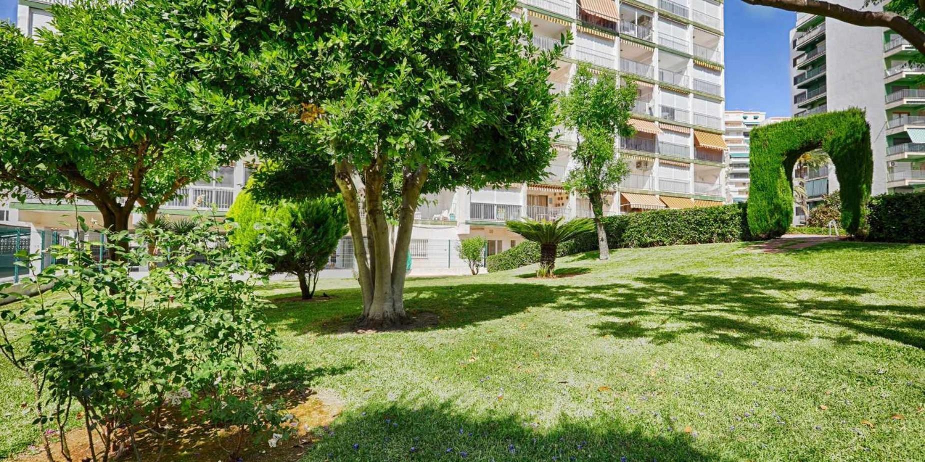 Apartamento Brasil Mar Playa de Gandia Extérieur photo